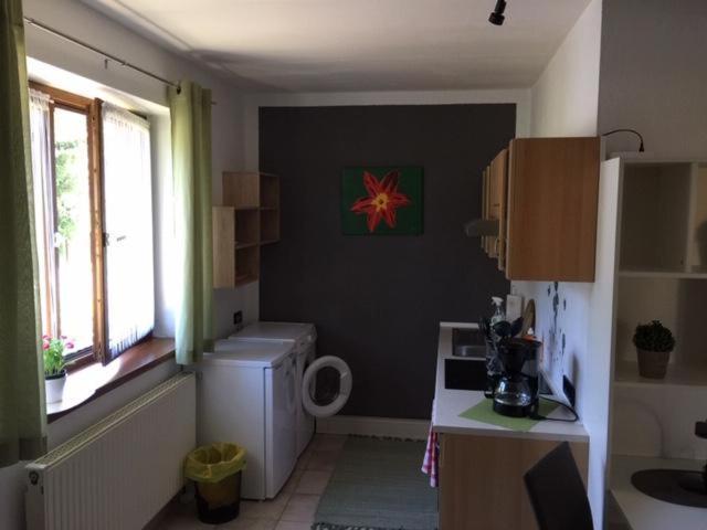 Apartamento Haus Wutzl Mariazell Exterior foto